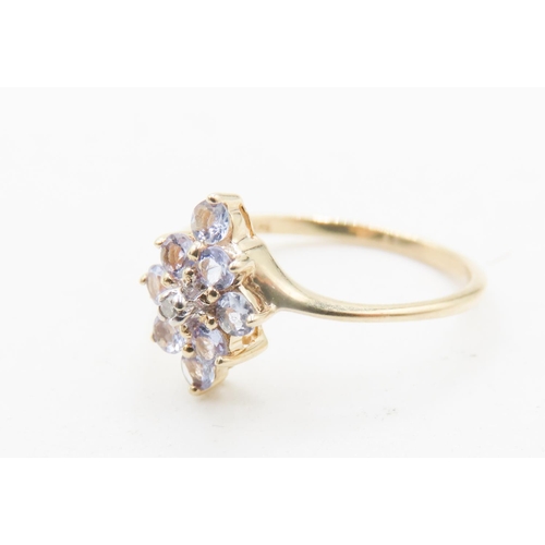 727 - Pale Tanzanite Cluster Ring Mounted in 9 Carat Yellow Gold Ring Size P