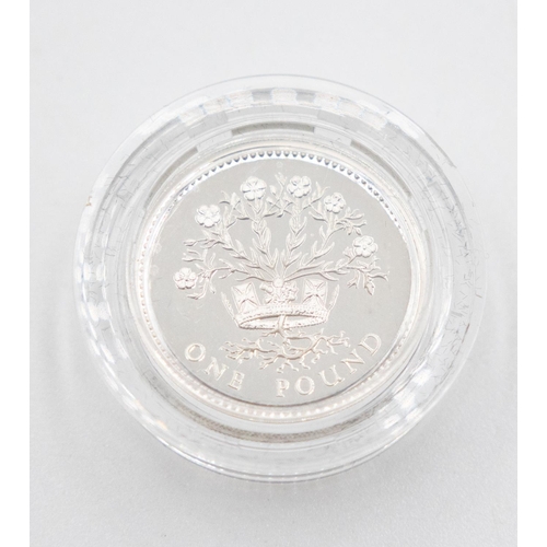 1047 - One Pound Silver Proof Coin Elizabeth ll Dated 1991  Encapsulated Mint Condition with Original Prese... 