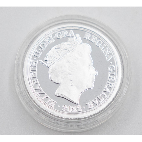 1050 - Lucrezia Delfini Silver Proof Coin Elizabeth ll Dated 2019 Encapsulated Mint Condition with Original... 