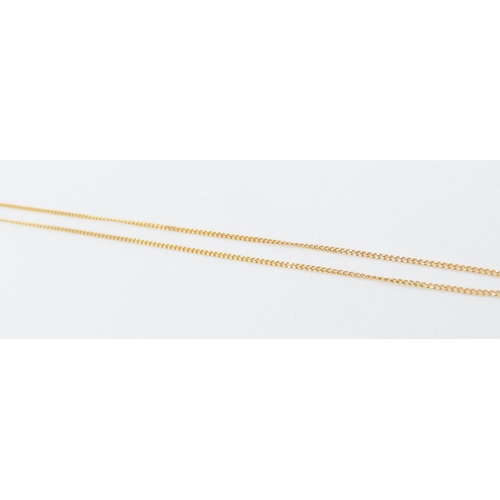 129 - 9 Carat Gemstone Set Pendant 2cm Drop Further Set on 9 Carat Yellow Gold Chain 45cm Long