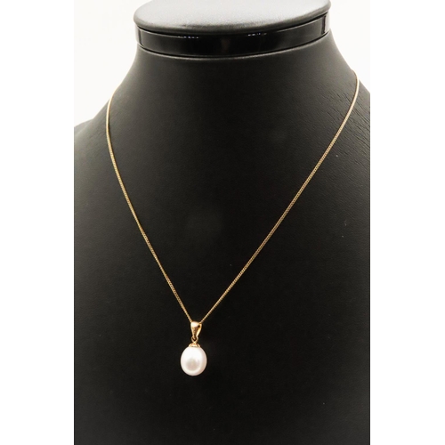 13 - Pearl Set Pendant Mounted on 9 Carat Yellow Gold 1.5cm Drop Further Set on 9 Carat Yellow Gold Chain... 