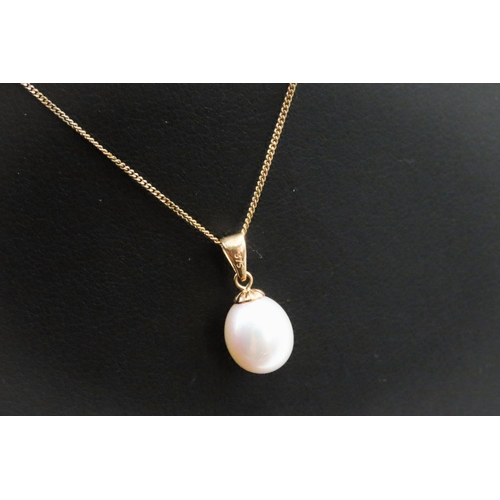 13 - Pearl Set Pendant Mounted on 9 Carat Yellow Gold 1.5cm Drop Further Set on 9 Carat Yellow Gold Chain... 