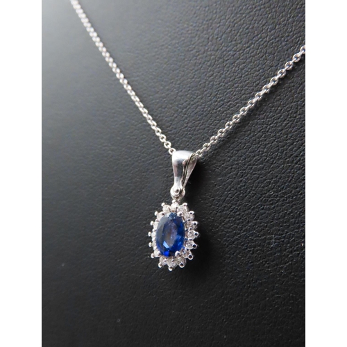 244 - Sapphire and Diamond Set Cluster Pendant Mounted in 18 Carat White Gold 2cm Drop Further Set on 18 C... 