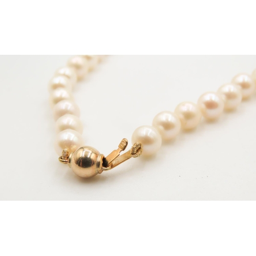 382 - Ladies Pearl Necklace with 9 Carat Yellow Gold Clasp 44cm Long As New Unworn