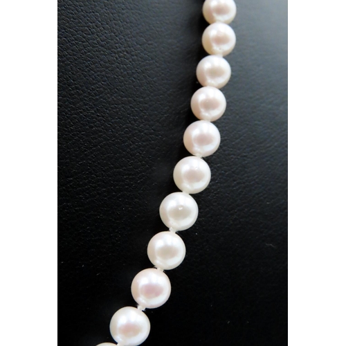 384 - Ladies Pearl Necklace with 9 Carat Yellow Gold Clasp 44cm Long As New Unworn