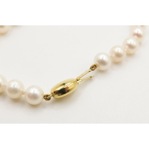 385 - Ladies Pearl Necklace with 9 Carat Yellow Gold Clasp 42cm Long As New Unworn