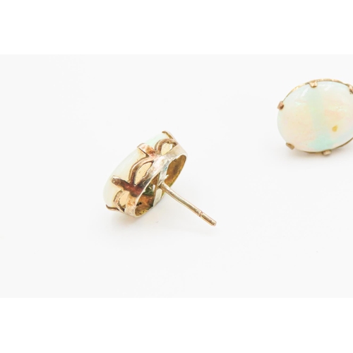 39 - Pair of Six Claw Basket Set Opal Earrings Mounted in 14 Carat Yellow Gold Each 1.2cm High