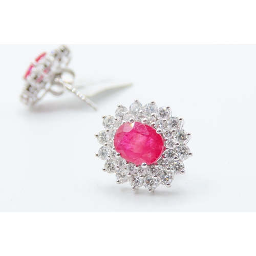 489 - Pair of Ruby Set Earrings with Double Diamond Halo Set in 18 Carat Rose Gold Each 1.5cm High Rubies ... 