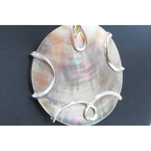 163 - Statement Shell Pendant Mounted in Silver 6.5cm Diameter Further Set on Silver Chain 48cm Long