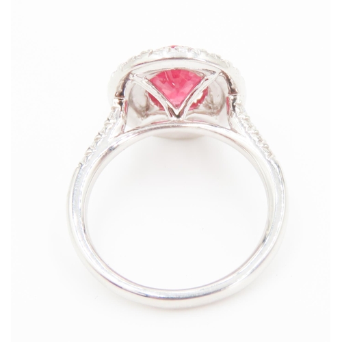 202 - Ruby Set Centre Stone Ring Mounted in Platinum with Diamond Set Double Halo Surround and Further Dia... 