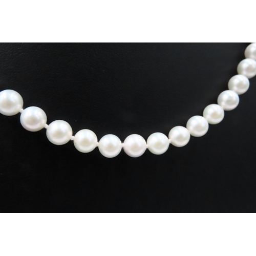 219 - Ladies Pearl Necklace 46cm Long 9 Carat Yellow Gold Pearl Set Clasp