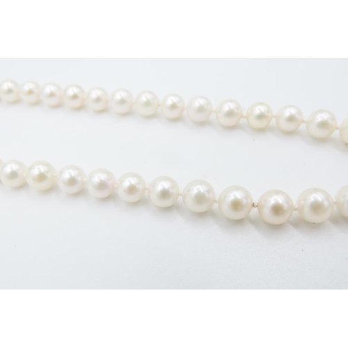 219 - Ladies Pearl Necklace 46cm Long 9 Carat Yellow Gold Pearl Set Clasp