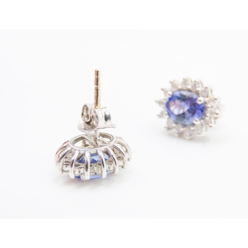 253 - Pair of AAA Grade Tanzanite and Diamond Set Ladies Cluster Earrings Mounted in 18 Carat White Gold E... 