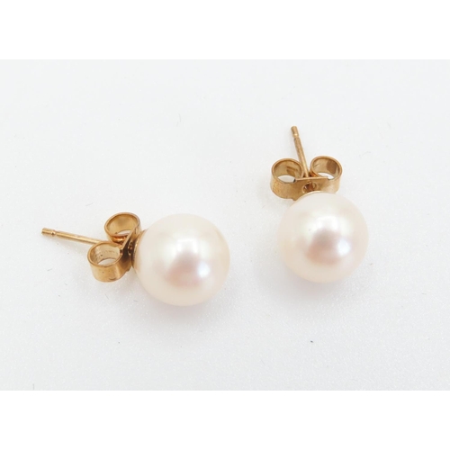 462 - Pair of 9 Carat Yellow Gold Pearl Set Earrings