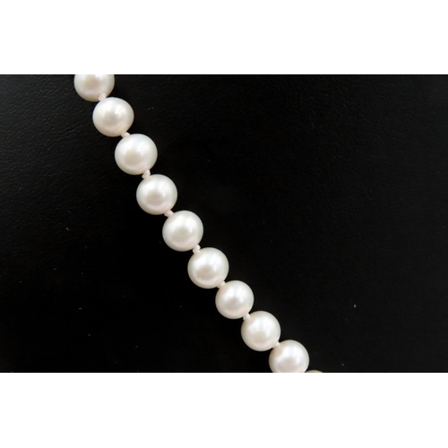 479 - Ladies Pearl Necklace 9 Carat Yellow Gold Clasp 44cm Long