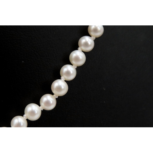 480 - Ladies Pearl Necklace 9 Carat Yellow Gold Clasp 44cm Long