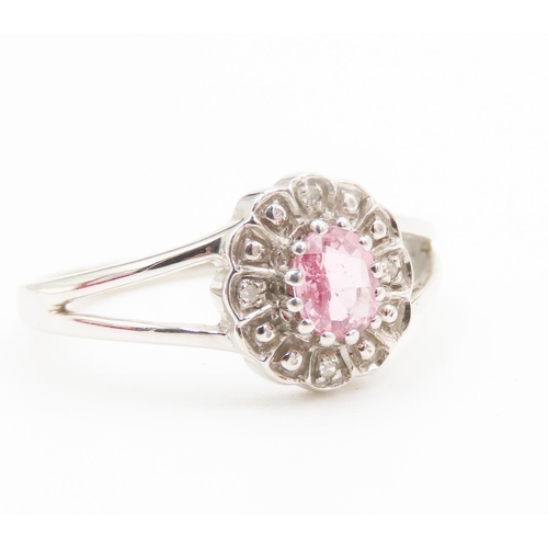 491 - Pink Sapphire and Diamond Set Flower Form Ring Mounted in 9 Carat White Gold Ring Size N