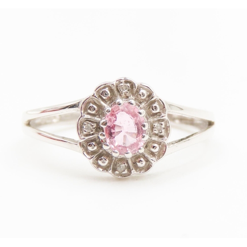 491 - Pink Sapphire and Diamond Set Flower Form Ring Mounted in 9 Carat White Gold Ring Size N