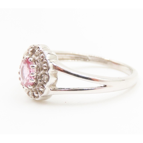 491 - Pink Sapphire and Diamond Set Flower Form Ring Mounted in 9 Carat White Gold Ring Size N