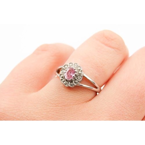 491 - Pink Sapphire and Diamond Set Flower Form Ring Mounted in 9 Carat White Gold Ring Size N