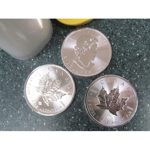 113 - Collection of 25 One Ounce Fine 999,9 Silver Canadian 5 Dollar Coins 2022 Elizabeth II