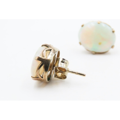 182 - Pair of Six Claw Basket Set Opal Earrings Mounted in 14 Carat Yellow Gold Each 1.2cm High