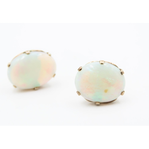 182 - Pair of Six Claw Basket Set Opal Earrings Mounted in 14 Carat Yellow Gold Each 1.2cm High