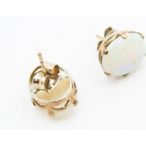 182 - Pair of Six Claw Basket Set Opal Earrings Mounted in 14 Carat Yellow Gold Each 1.2cm High