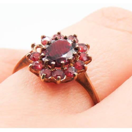 213 - Red Garnet Set Ladies Cluster Ring Mounted in 9 Carat Yellow Gold Ring Size N