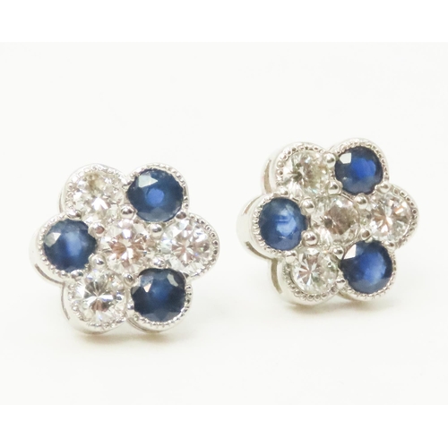 255 - Pair of Diamond and Sapphire Set Daisy Motif Earrings Mounted in Platinum 11mm High Each Total Diamo... 