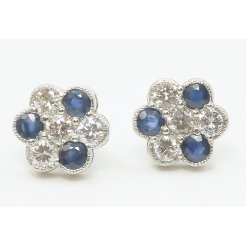 255 - Pair of Diamond and Sapphire Set Daisy Motif Earrings Mounted in Platinum 11mm High Each Total Diamo... 