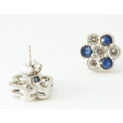 255 - Pair of Diamond and Sapphire Set Daisy Motif Earrings Mounted in Platinum 11mm High Each Total Diamo... 