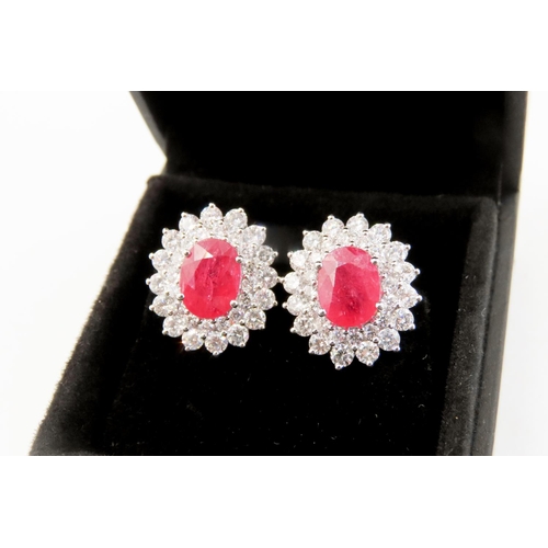 267 - Pair of Ruby Set Earrings with Double Diamond Halo Set in 18 Carat Rose Gold Each 1.5cm High Rubies ... 