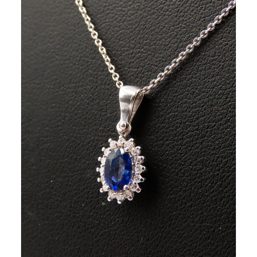 379 - Sapphire and Diamond Set Cluster Pendant Mounted in 18 Carat White Gold 2cm Drop Further Set on 18 C... 