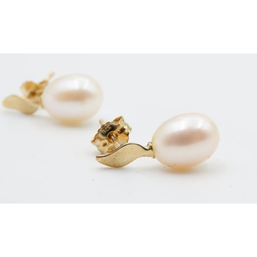 465 - Pair of 9 Carat Yellow Gold Pearl Set Earrings 1.5cm High As New Unworn