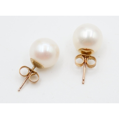 467 - Pair of 9 Carat Yellow Gold Pearl Set Earrings 1cm Diameter As New Unworn