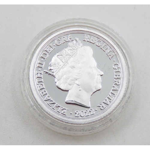 517 - Lucrezia Delfini Silver Proof Coin Elizabeth ll Dated 2019 Encapsulated Mint Condition with Original... 