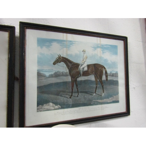 1077 - Pair of Regency Engravings Racehorses Depicting Shotover and Sainfoyn Each Approximately 30 Inches W... 