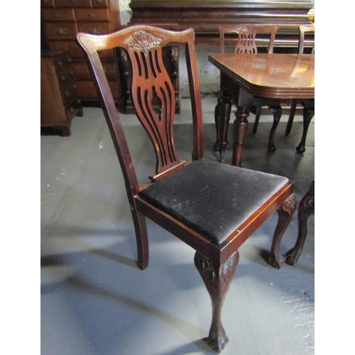 1098 - Set of Thirteen Antique Chippendale Mahogany Dining Room Chairs with Upholstered Seats Above Claw an... 