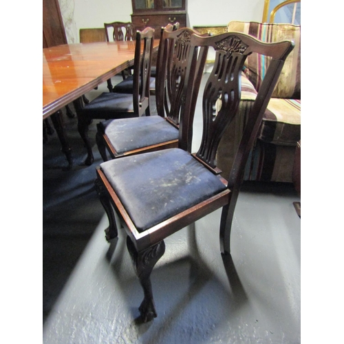 1098 - Set of Thirteen Antique Chippendale Mahogany Dining Room Chairs with Upholstered Seats Above Claw an... 