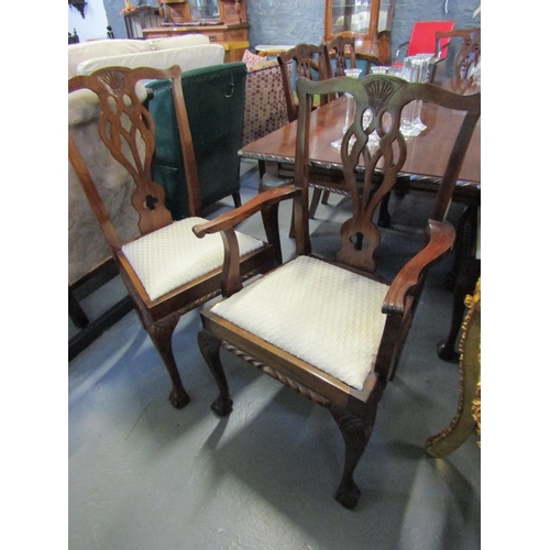 1109 - Set of Eight Chippendale Dining Chairs Including Two Carvers Claw and Ball Supports Matches Previous... 