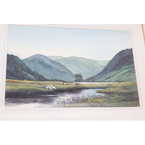 1285 - Peter Knuttel Sheep by River Mountains Connemara Watercolour Approximately 18 Inches High x 22 Inche... 