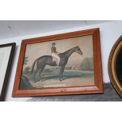 1288 - Three Antique Engravings Including Racehorse with Jockey Up Largest Approximately 20 Inches Wide