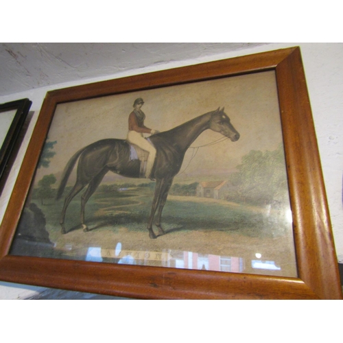 1288 - Three Antique Engravings Including Racehorse with Jockey Up Largest Approximately 20 Inches Wide