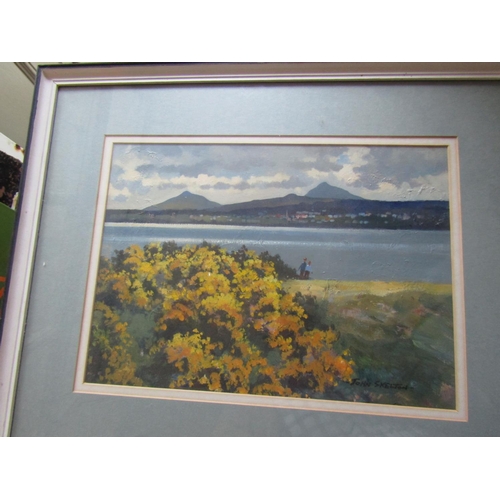 1335 - John Skelton Summer Scene with Gorse Bushes Mountains Beyond Oil on Board Approximately 12 Inches Hi... 