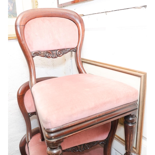 1362 - Set of Six William IV Mahogany Dining Chairs with Upholstered Backs and Seats Above Turn Supports