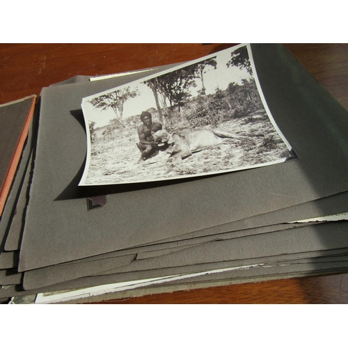 1429 - Album of Edwardian Safari Photographs Black and White Some Large Format Including Elephants Leopards... 