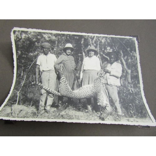 1429 - Album of Edwardian Safari Photographs Black and White Some Large Format Including Elephants Leopards... 