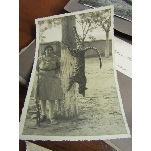 1429 - Album of Edwardian Safari Photographs Black and White Some Large Format Including Elephants Leopards... 