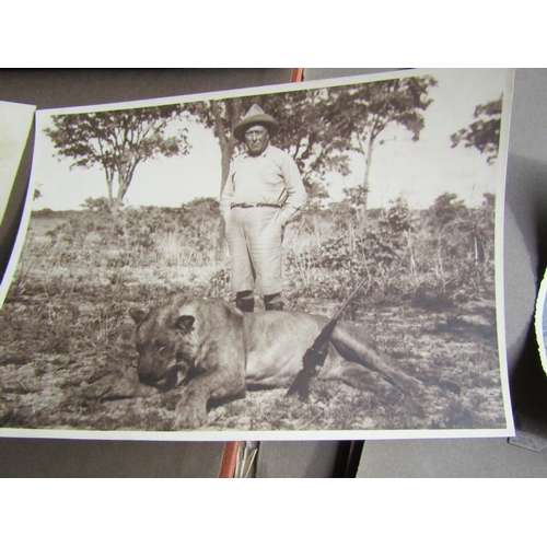 1429 - Album of Edwardian Safari Photographs Black and White Some Large Format Including Elephants Leopards... 